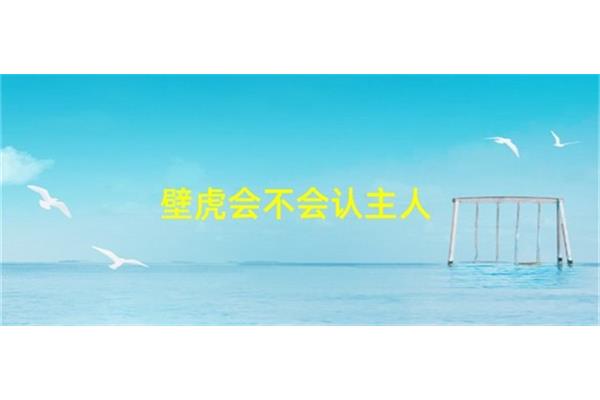 壁虎会认主人吗