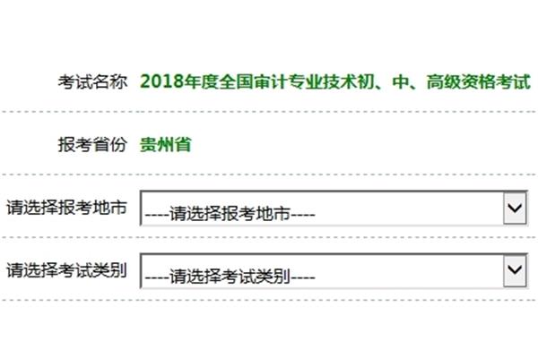 审计师报名时间