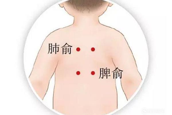 怎么补肺气
