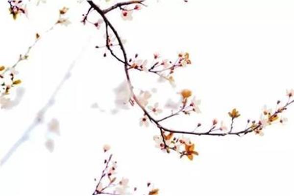 苏溪亭古诗
