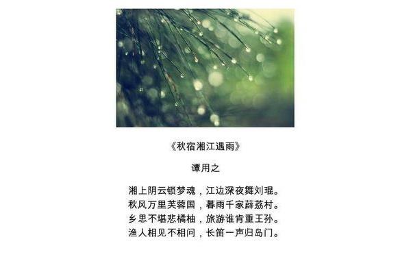 有关雨的诗