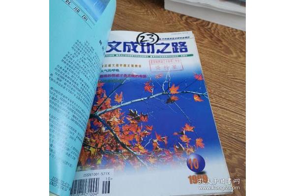 作文成功之路