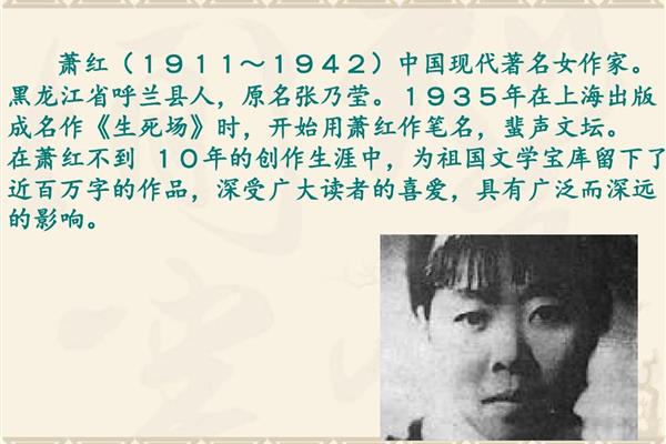 祖父的园子作者