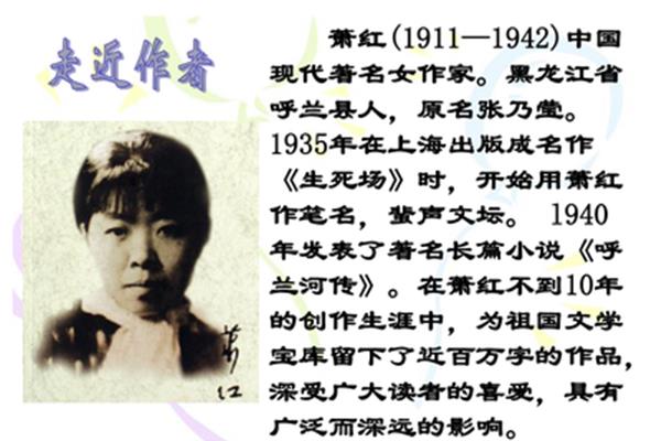 祖父的园子作者