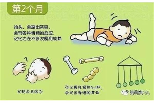 几个月会走路