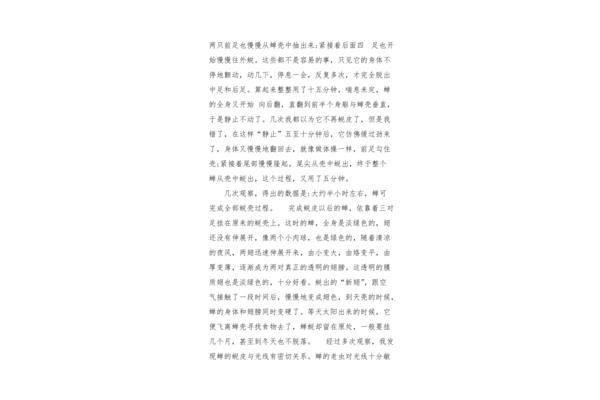 有关五一的作文