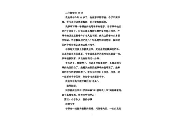家族史作文