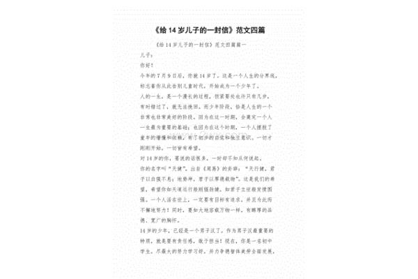 给儿子的信