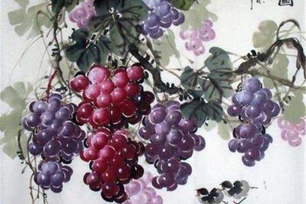 国画怎么画