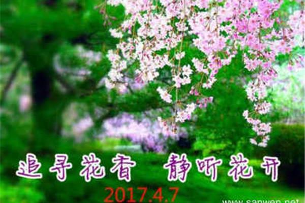 那是一个春天