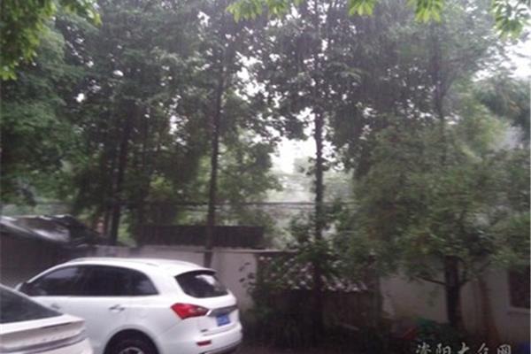 什么盆大雨