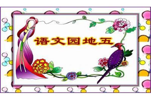 我的小背篓