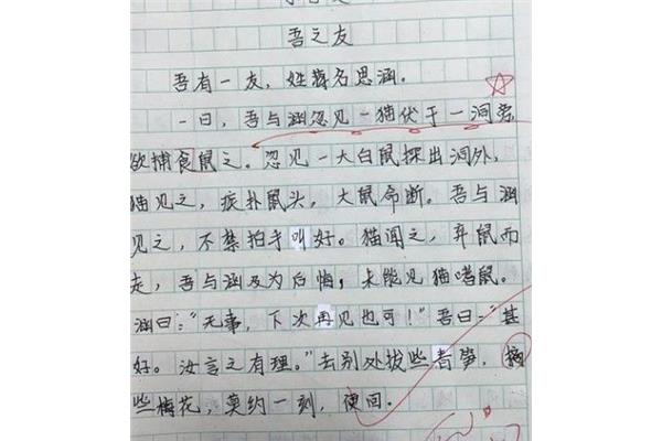 年的味道作文