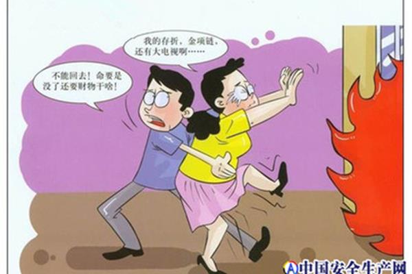 什么柴不能烧