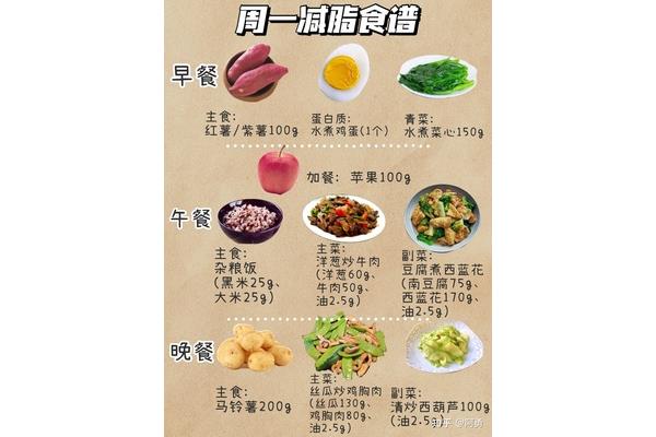 一日三餐食谱
