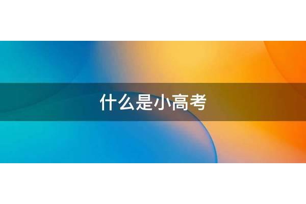 小高考是什么意思