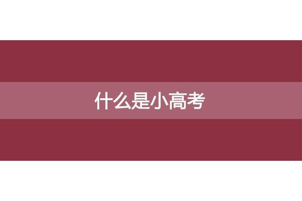 小高考是什么意思