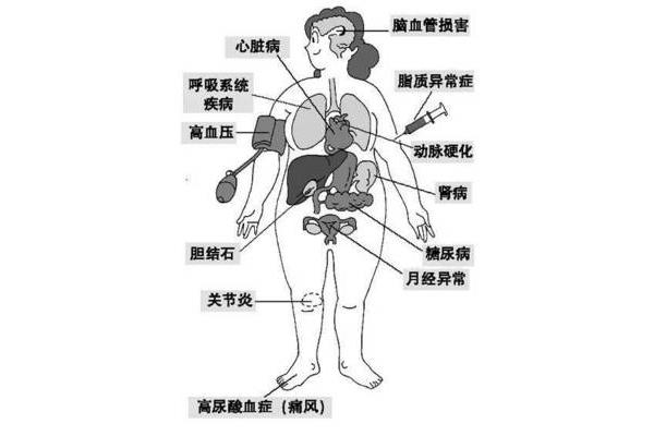 人为什么要呼吸