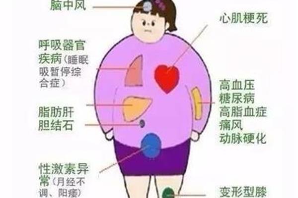 人为什么要呼吸