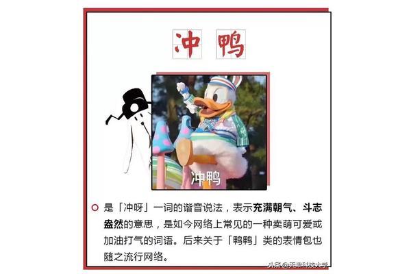 三支一扶怎么报名
