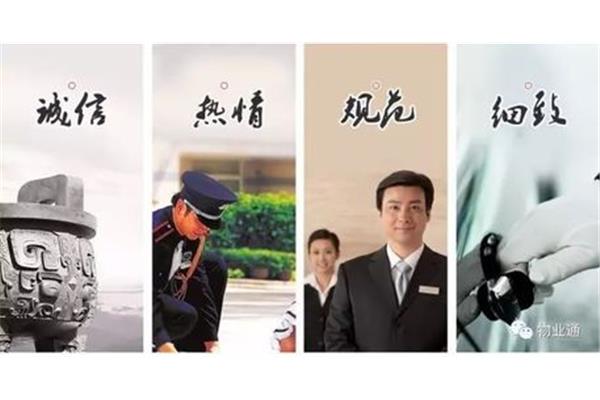 主动服务意识