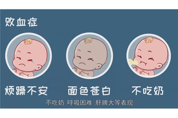 新生儿不吃奶