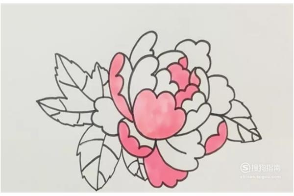 牡丹花怎么画
