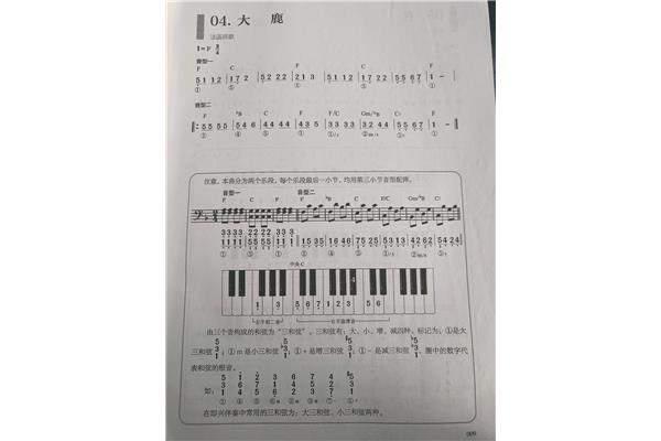 简谱怎么看