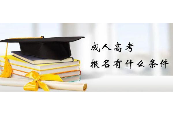 高考报考网