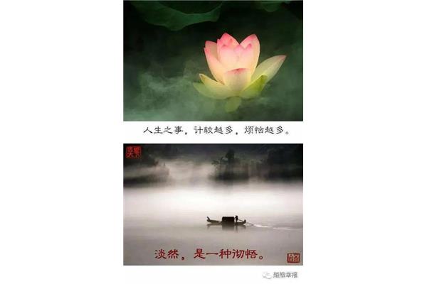 洒脱的意思