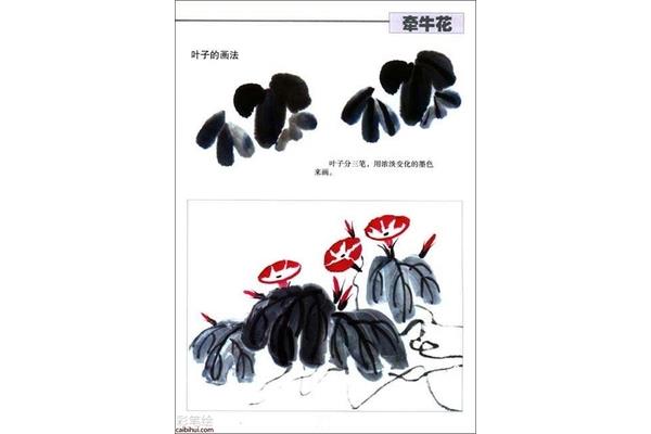 国画怎么画