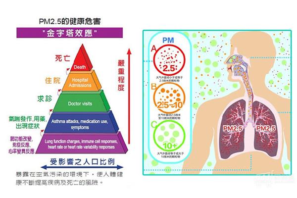 人为什么要呼吸