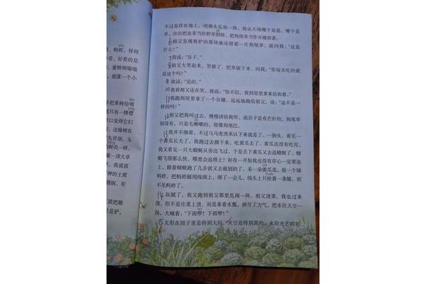 祖父的园子作者