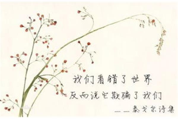 回家的诗句