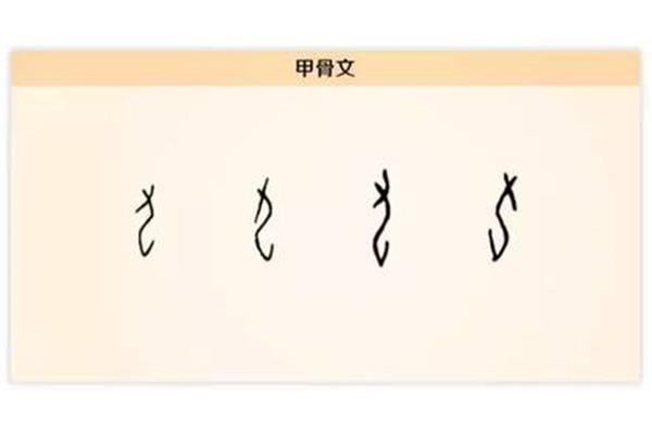 地的甲骨文