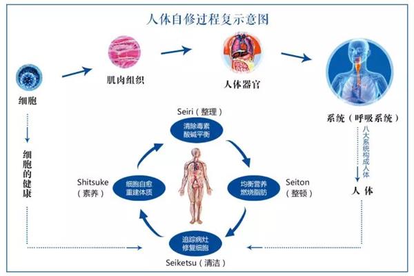 人为什么要呼吸