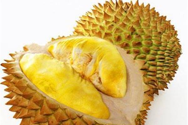榴莲壳的用处