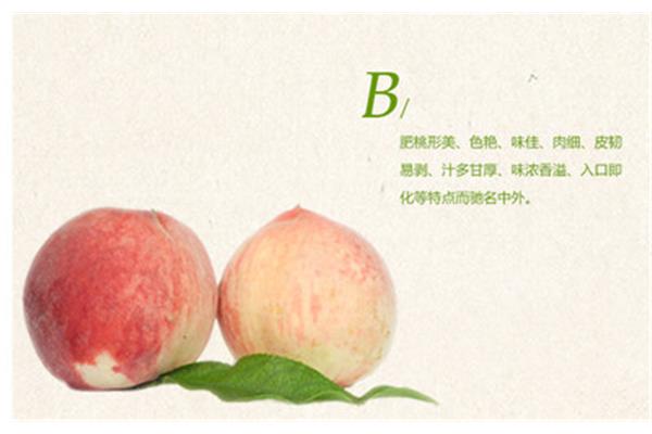 软语是什么意思