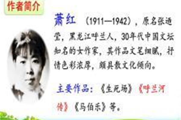 祖父的园子作者