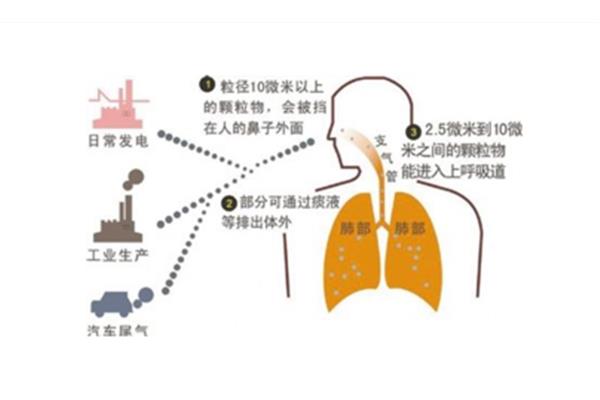 人为什么要呼吸