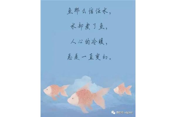 问心无愧的意思