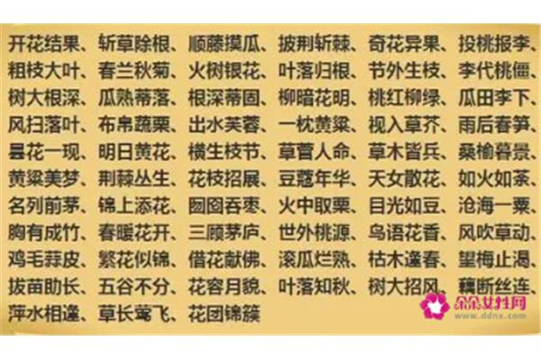 四个字的成语大全