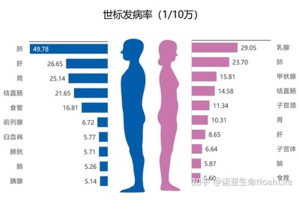 中国年龄段划分