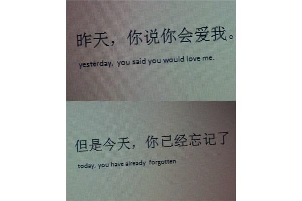 英语表白情话
