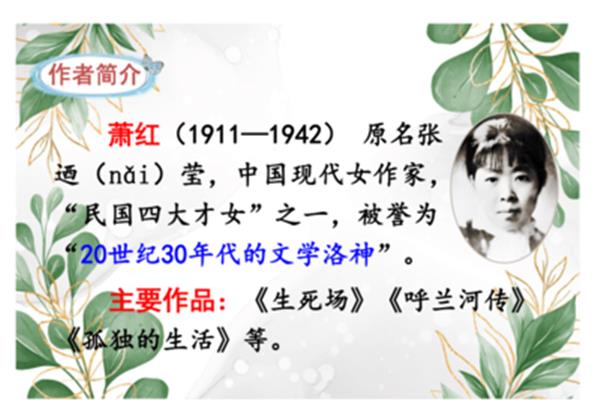 祖父的园子作者