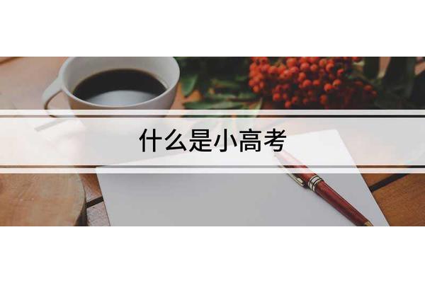 小高考是什么意思