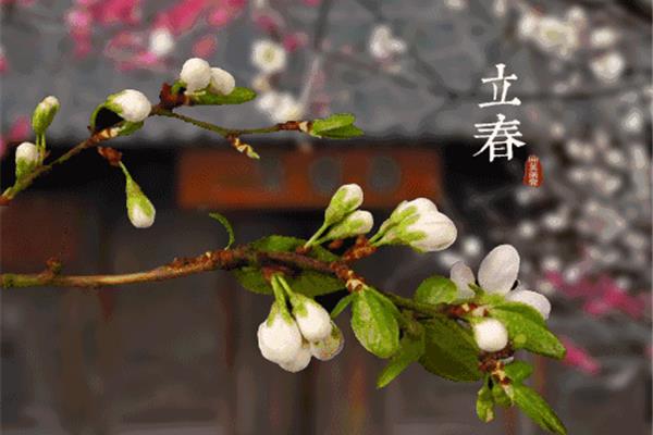 春天的习俗