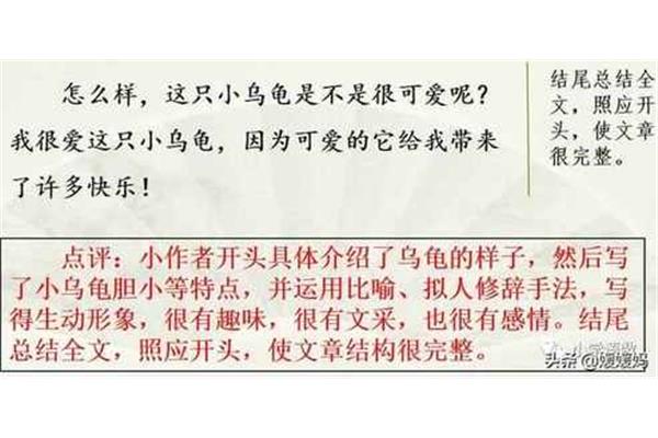 语文第四单元作文