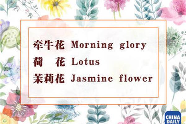 花的英文怎么说