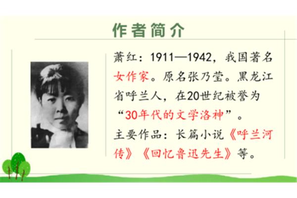 祖父的园子作者
